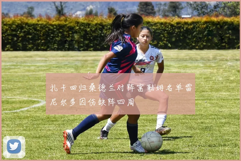 扎卡回归桑德兰对阵富勒姆名单雷尼尔多因伤缺阵四周