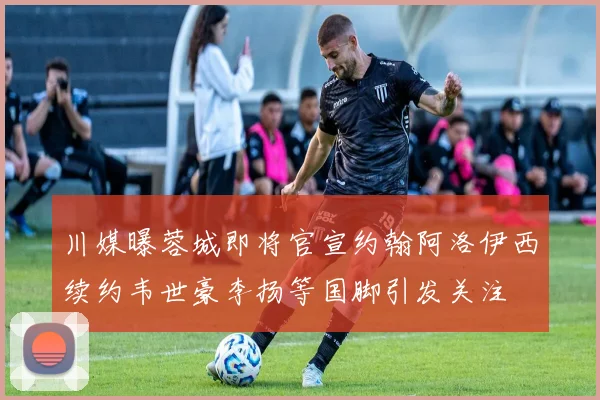川媒曝蓉城即将官宣约翰阿洛伊西续约韦世豪李扬等国脚引发关注