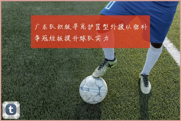 广东队积极寻觅护筐型外援以弥补争冠短板提升球队实力