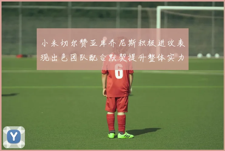 小米切尔赞亚库乔尼斯积极进攻表现出色团队配合默契提升整体实力