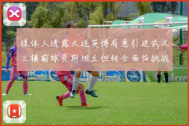 媒体人透露大连英博有意引进武汉三镇前球员斯坦丘但转会面临挑战