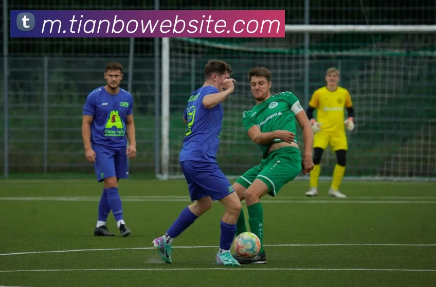 多媒体互动体验