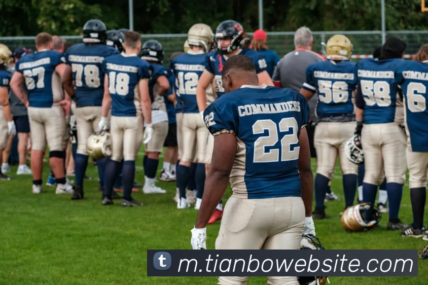 天博体育APP 高清赛事图